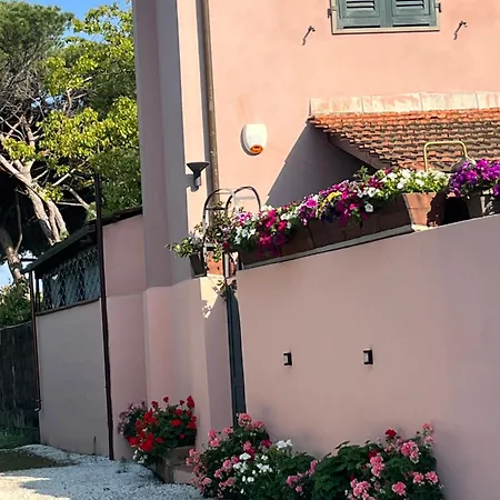 Appartement Sergiunca