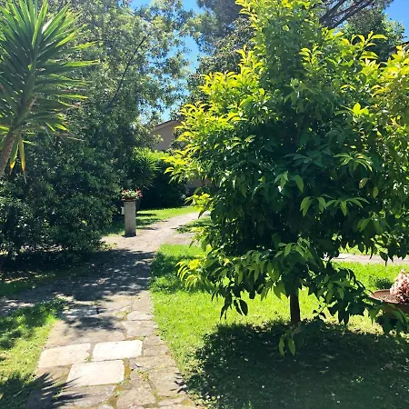 Sergiunca Bocca di Magra