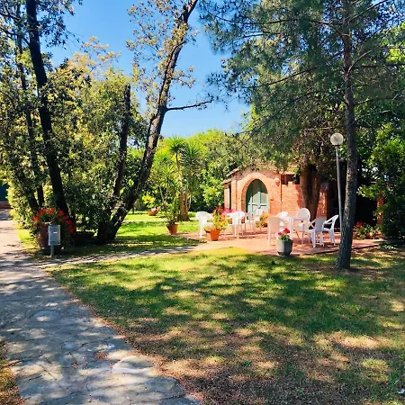 Appartement Sergiunca